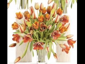 bouquet of tulips set 3D Model