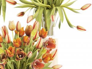 bouquet of tulips set 3D Model
