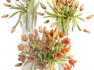 bouquet of tulips set 3D Model