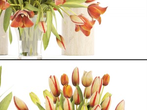 bouquet of tulips set 3D Model