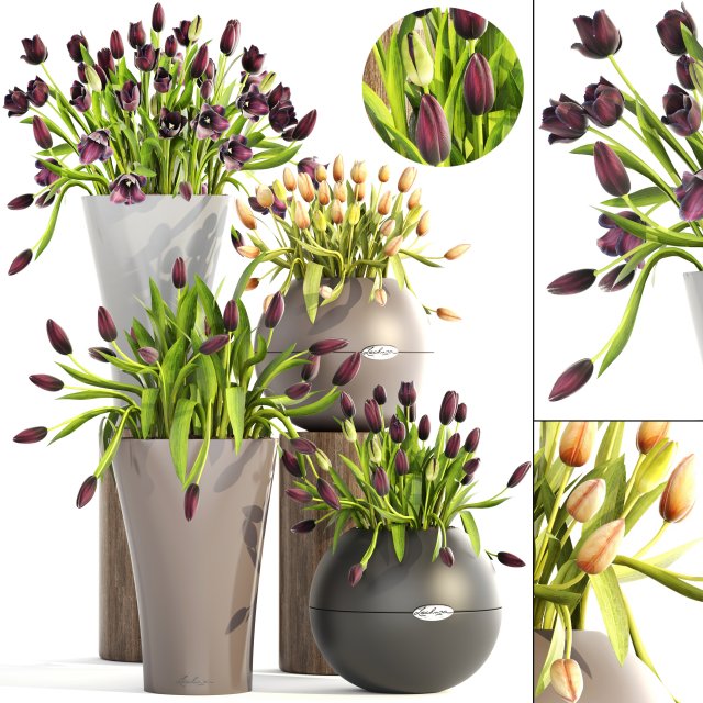 tulips 3D Model .c4d .max .obj .3ds .fbx .stl .blend 
