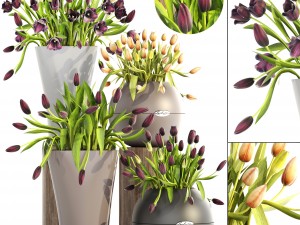 tulips 3D Model