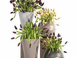tulips 3D Model