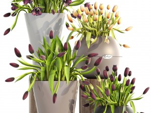 tulips 3D Model