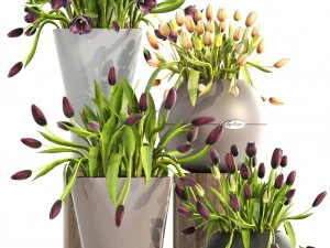 tulips 3D Model