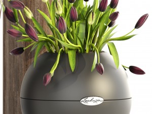 tulips 3D Model