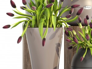 tulips 3D Model