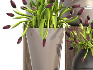 tulips 3D Model