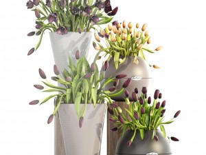 tulips 3D Model