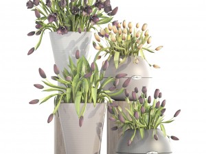 tulips 3D Model