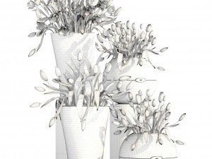 tulips 3D Model