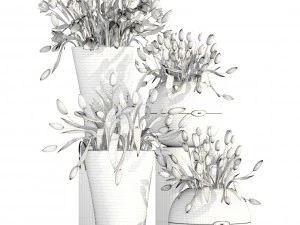 tulips 3D Model