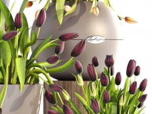 tulips 3D Model