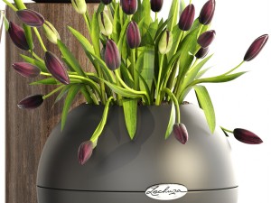 tulips 3D Model