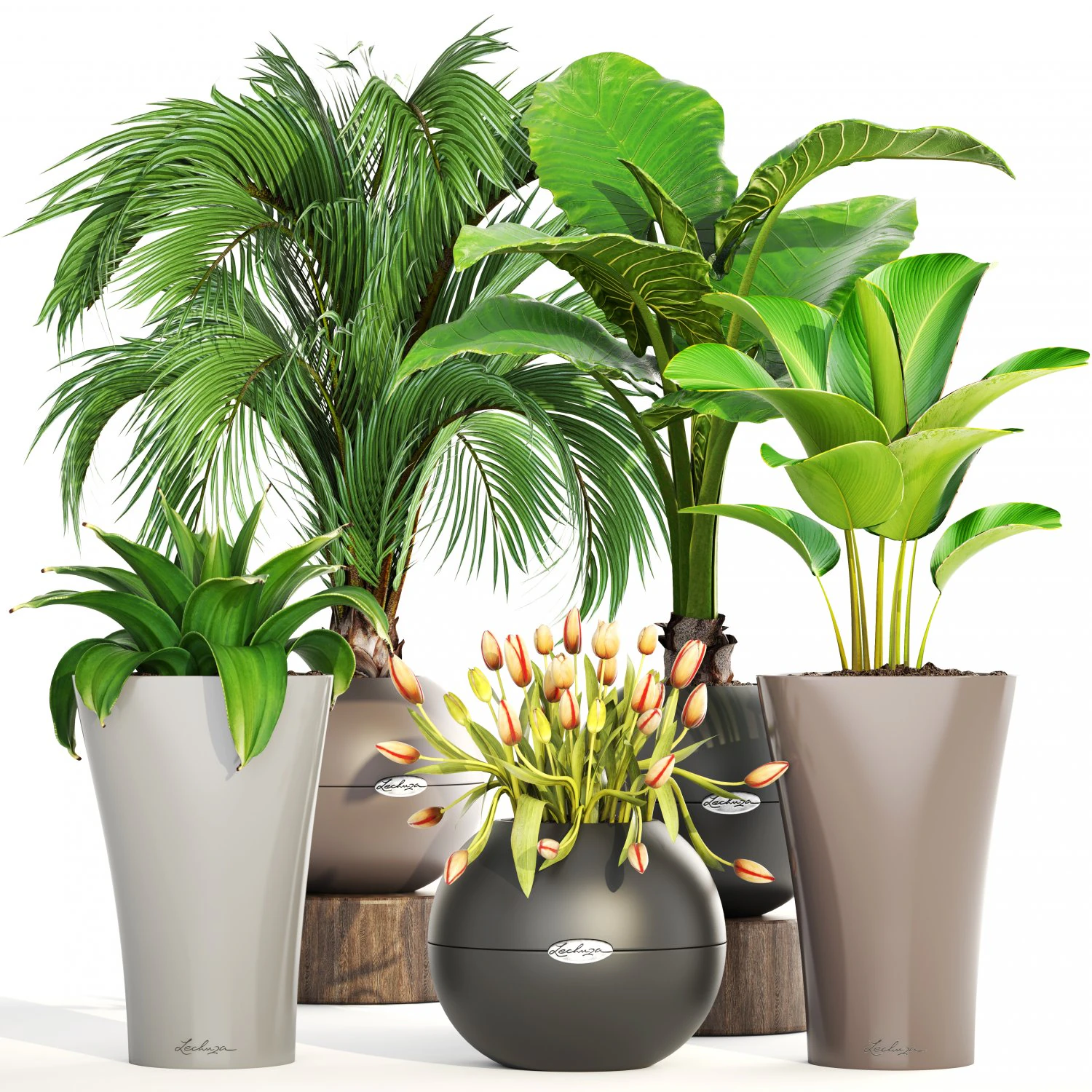 collection plants 3D Model .c4d .max .obj .3ds .fbx .stl .blend 