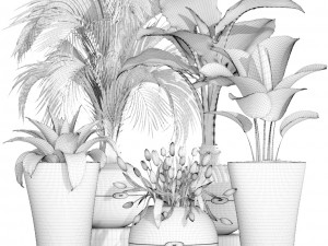 collection plants Modelo 3D
