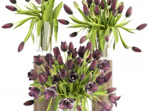 bouquet of tulips 3D Model