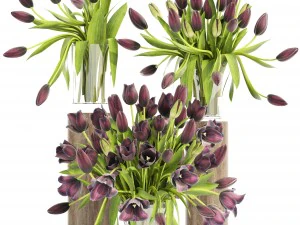 ट्यूलिप का गुलदस्ता 3D मॉडल