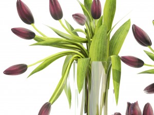 bouquet of tulips Modelo 3D