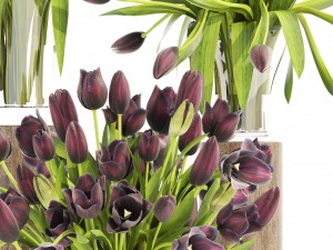 bouquet of tulips Modelo 3D