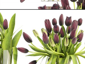 bouquet of tulips Modelo 3D