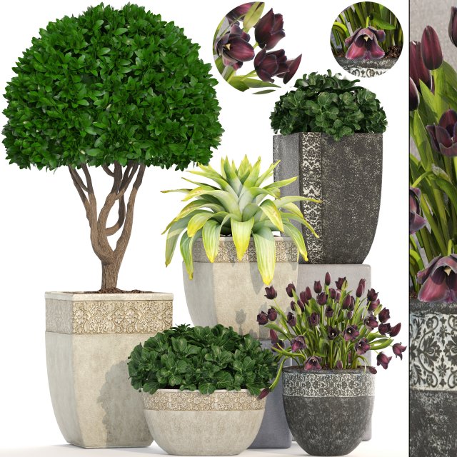 collection of plants in classic pots 3D 模型 .c4d .max .obj .3ds .fbx .stl .blend 