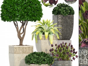 collection of plants in classic pots Modelo 3D