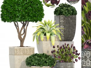 collection de plantes en pots classiques Modèle 3D