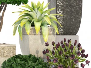 collection of plants in classic pots 3D Model