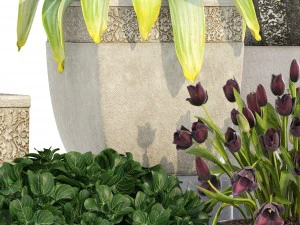 collection of plants in classic pots 3D Model