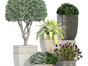 collection of plants in classic pots 3D Model