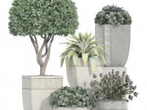 collection of plants in classic pots 3D Model