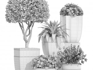 collection of plants in classic pots 3D Model