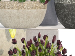 collection of plants in classic pots 3D 模型