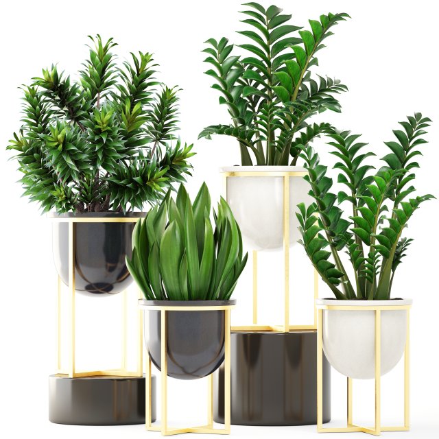 collection plants Modelo 3D .c4d .max .obj .3ds .fbx .stl .blend