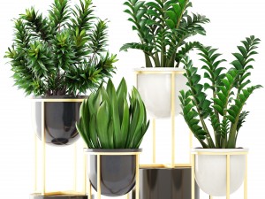 collection plants Modelo 3D