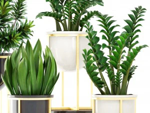 collection plants 3D Model