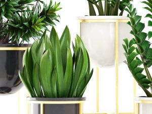 collection plants 3D Model