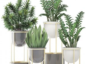 collection plants 3D Model