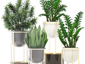 collection plants Modelo 3D