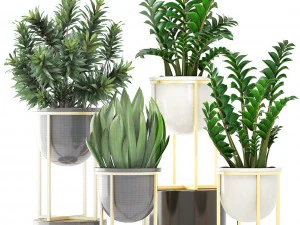 collection plants 3D Model