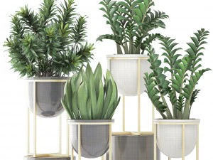collection plants 3D Model