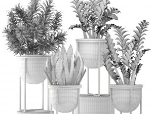 collection plants Modelo 3D