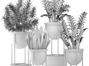 collection plants 3D Model