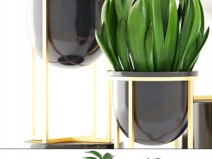 collection plants 3D Model