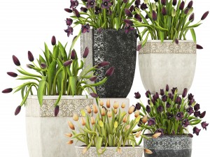 tulips Modèle 3D
