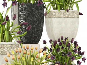 tulipas Modelo 3D