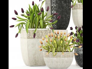 tulipas Modelo 3D