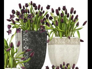 tulipas Modelo 3D