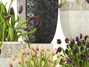 tulips Modèle 3D